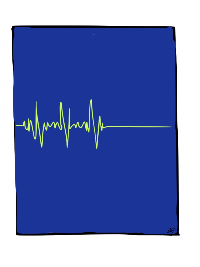 La indigna muerte digna